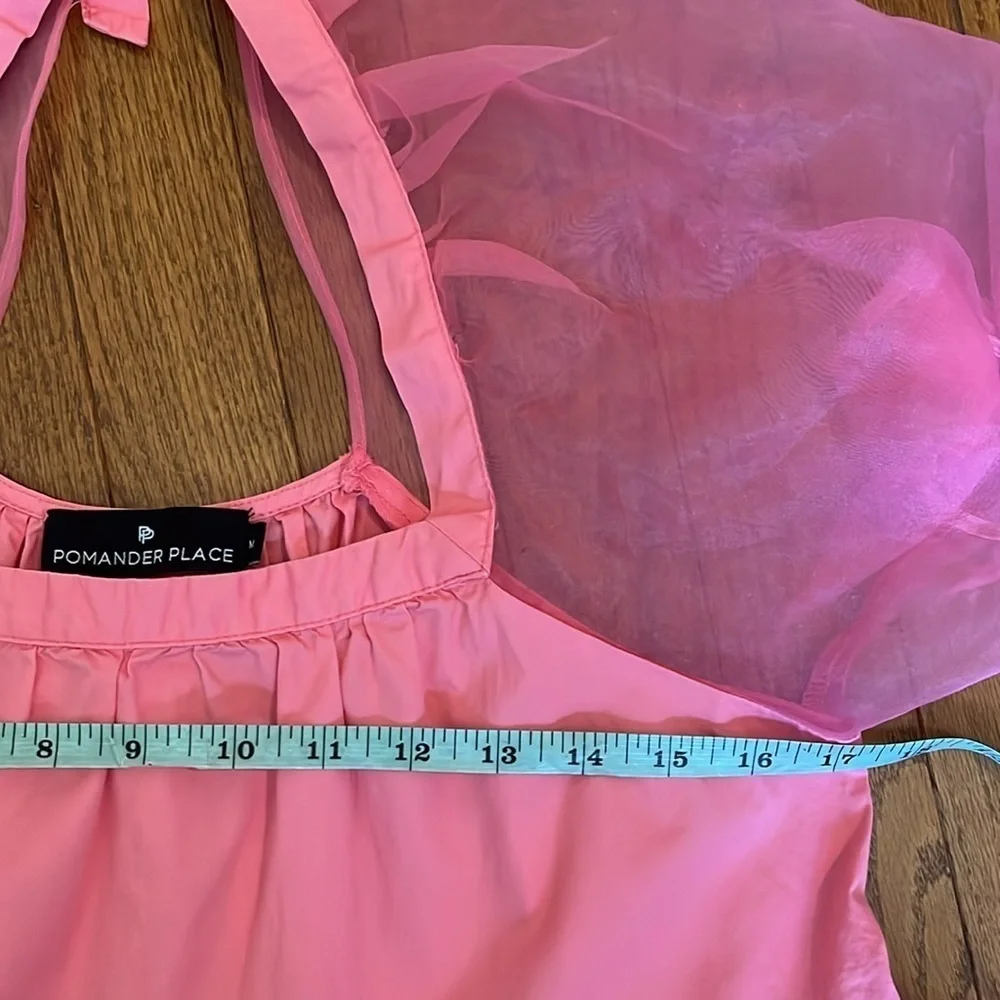 Tuckernuck X Pomander Place | Pink Tinsley Sheer‎ Puff Sleeve Top Size Medium